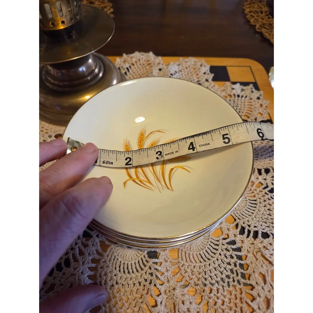 Homer Laughlin this vintage